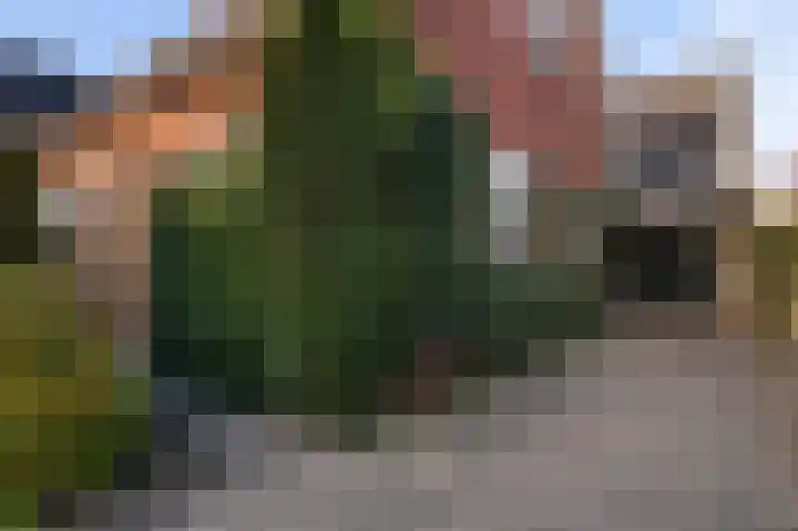 Tolweg 61 Markelo thumbnail 29