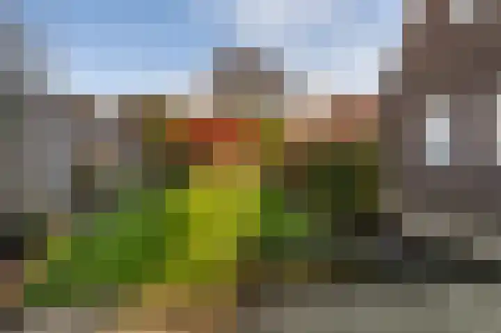Tolweg 61 Markelo thumbnail 4
