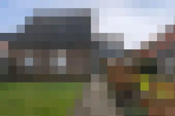 Tolweg 61 Markelo thumbnail 7