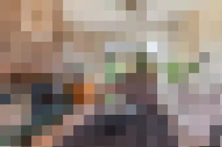 Tolweg 8 Markelo thumbnail 11