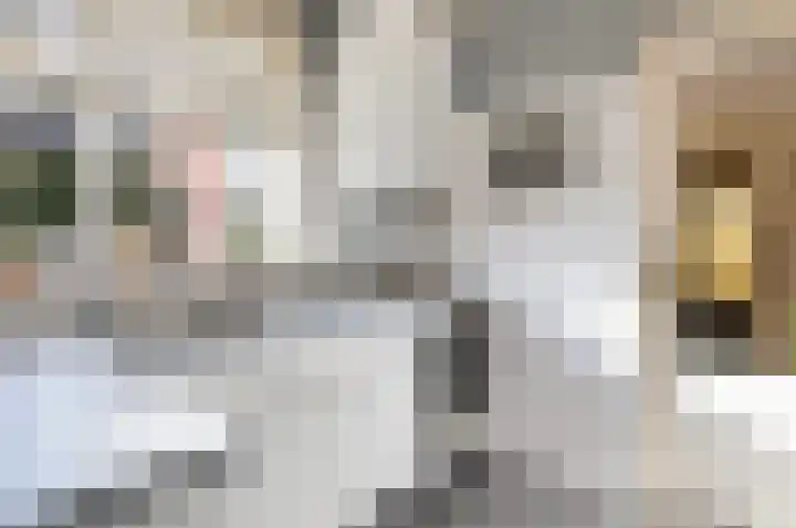 Tolweg 8 Markelo thumbnail 13