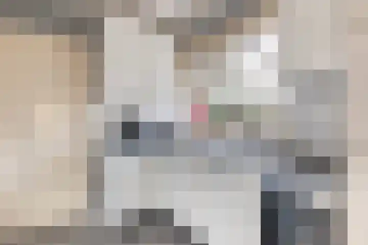 Tolweg 8 Markelo thumbnail 15