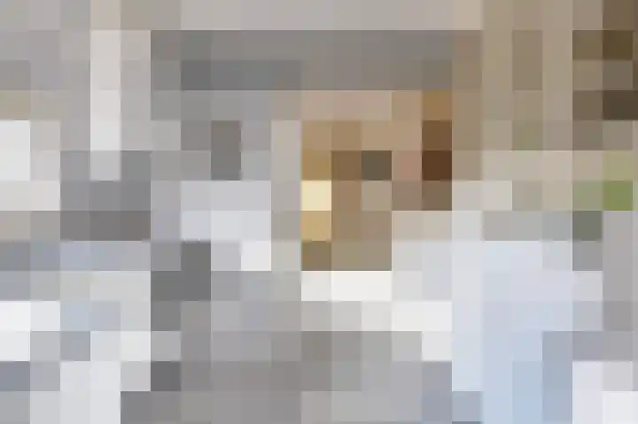 Tolweg 8 Markelo thumbnail 16