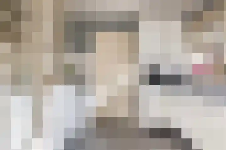 Tolweg 8 Markelo thumbnail 17