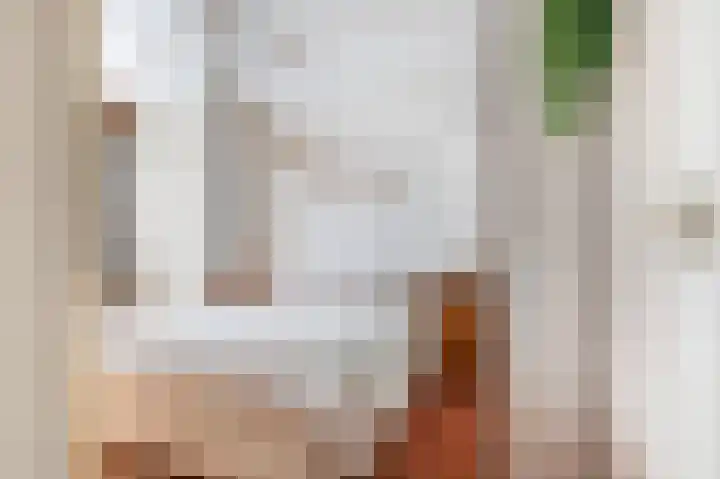 Tolweg 8 Markelo thumbnail 22