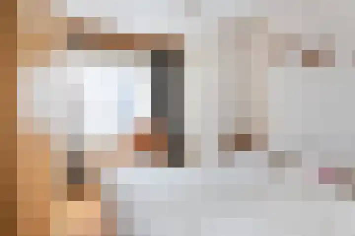 Tolweg 8 Markelo thumbnail 23