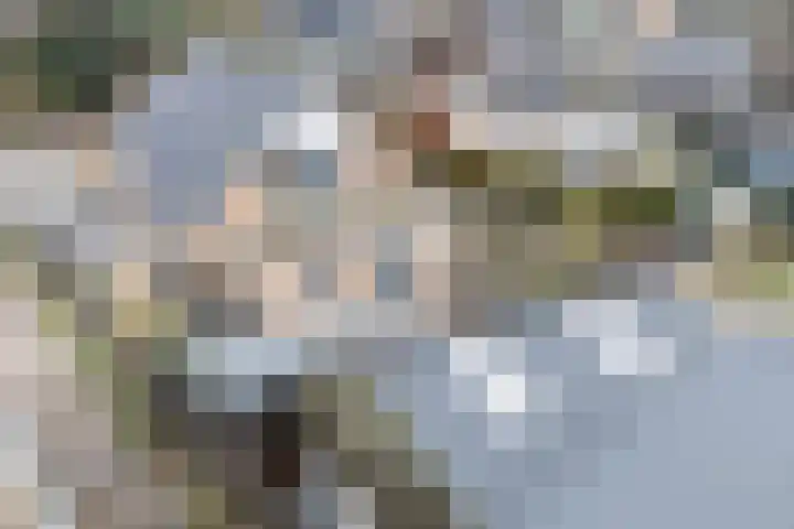 Tolwei 19 De Westereen thumbnail 10
