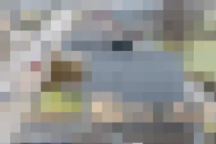 Tolwei 19 De Westereen thumbnail 11