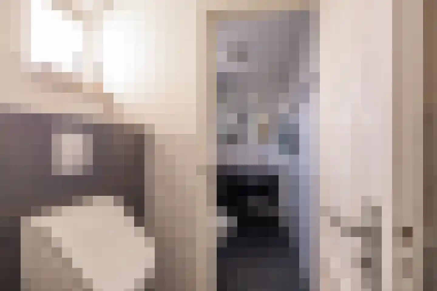 Tolwei 19 De Westereen thumbnail 13