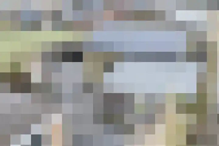 Tolwei 19 De Westereen thumbnail 16