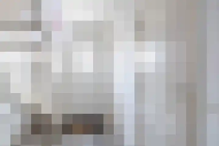 Tolwei 19 De Westereen thumbnail 20