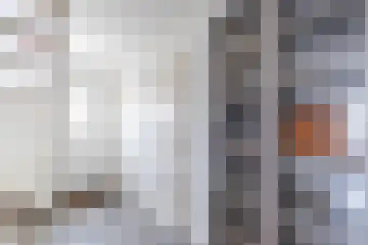 Tolwei 19 De Westereen thumbnail 21