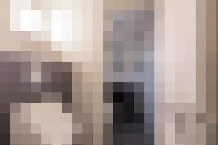 Tolwei 19 De Westereen thumbnail 23