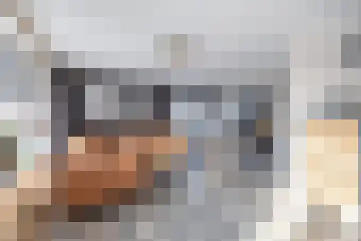 Tolwei 19 De Westereen thumbnail 24