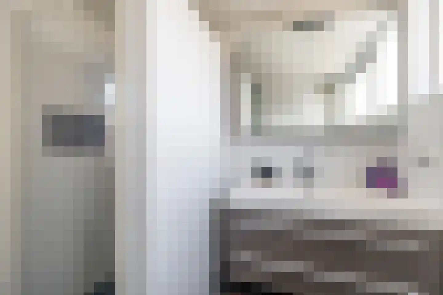 Tolwei 19 De Westereen thumbnail 24