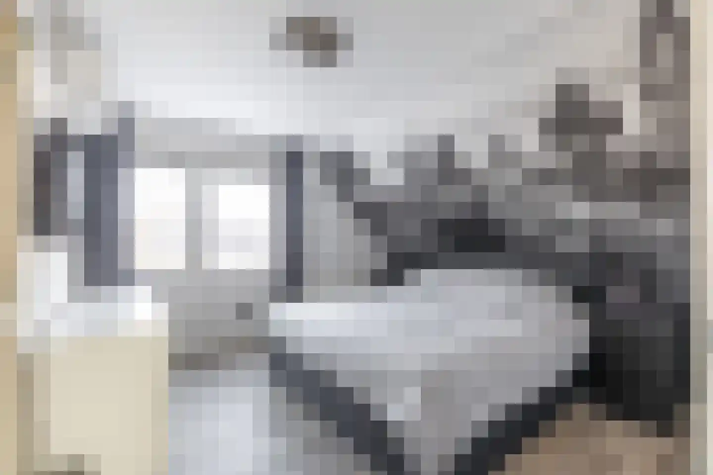 Tolwei 19 De Westereen thumbnail 28