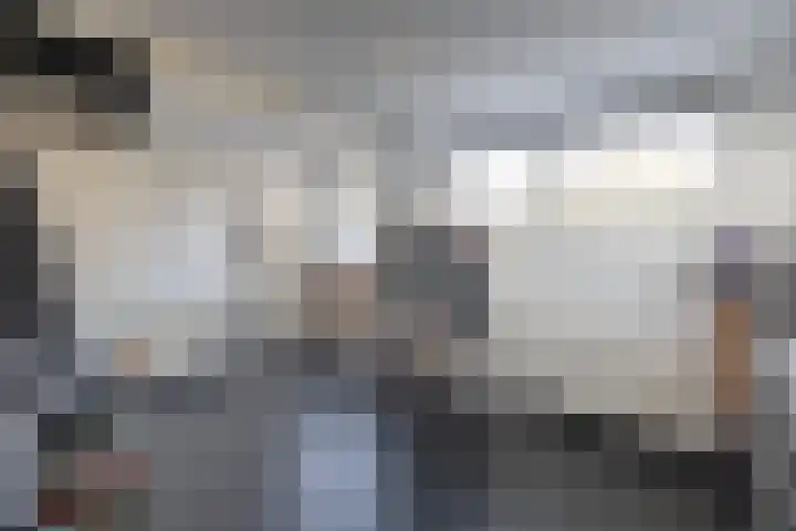 Tolwei 19 De Westereen thumbnail 33