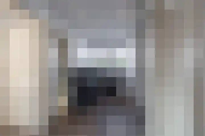 Tolwei 19 De Westereen thumbnail 36
