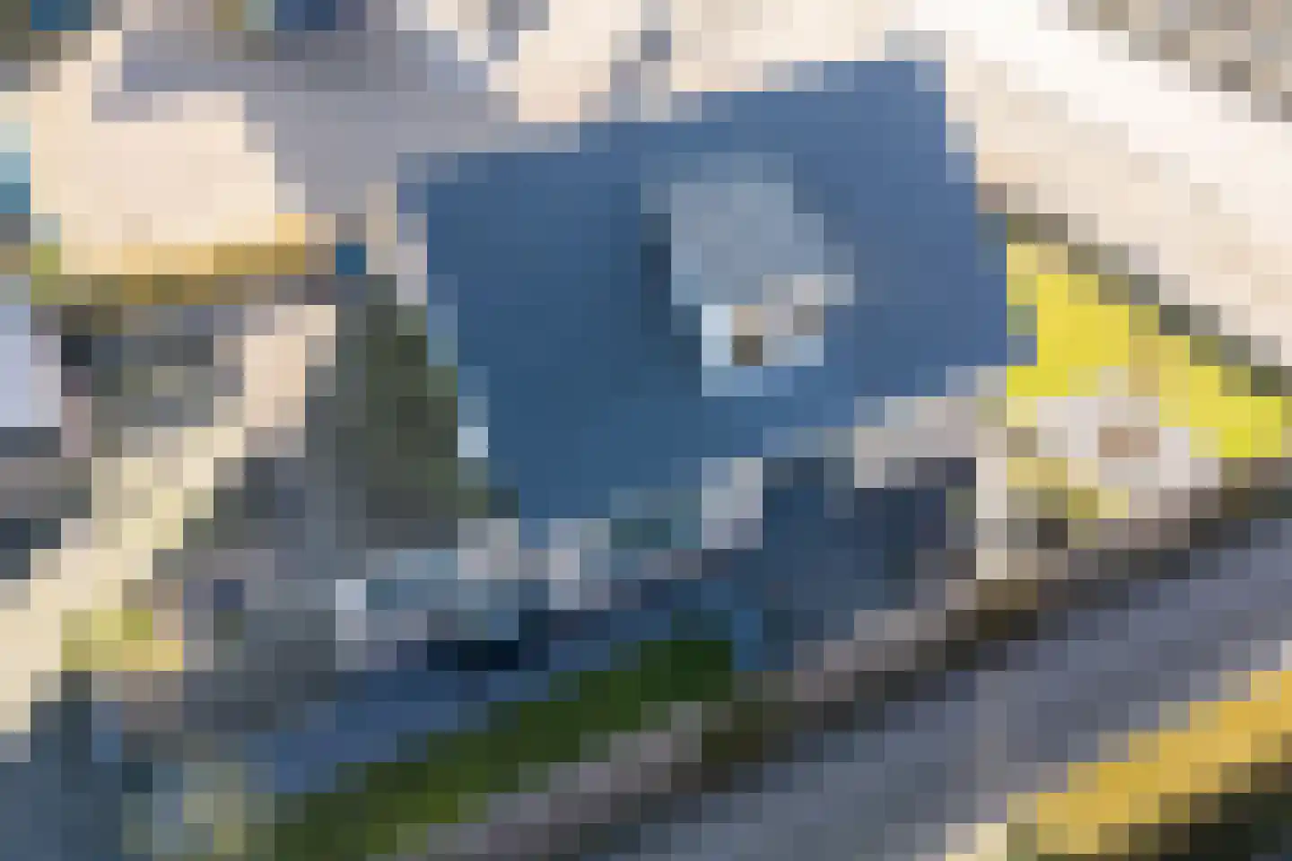 Tolwei 19 De Westereen thumbnail 38