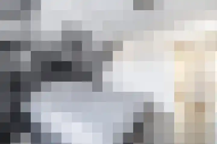 Tolwei 19 De Westereen thumbnail 39
