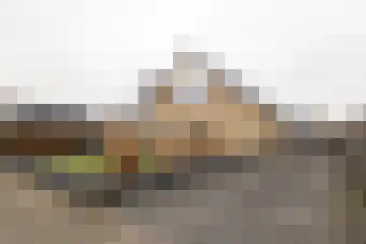 Tolwei 19 De Westereen thumbnail 4