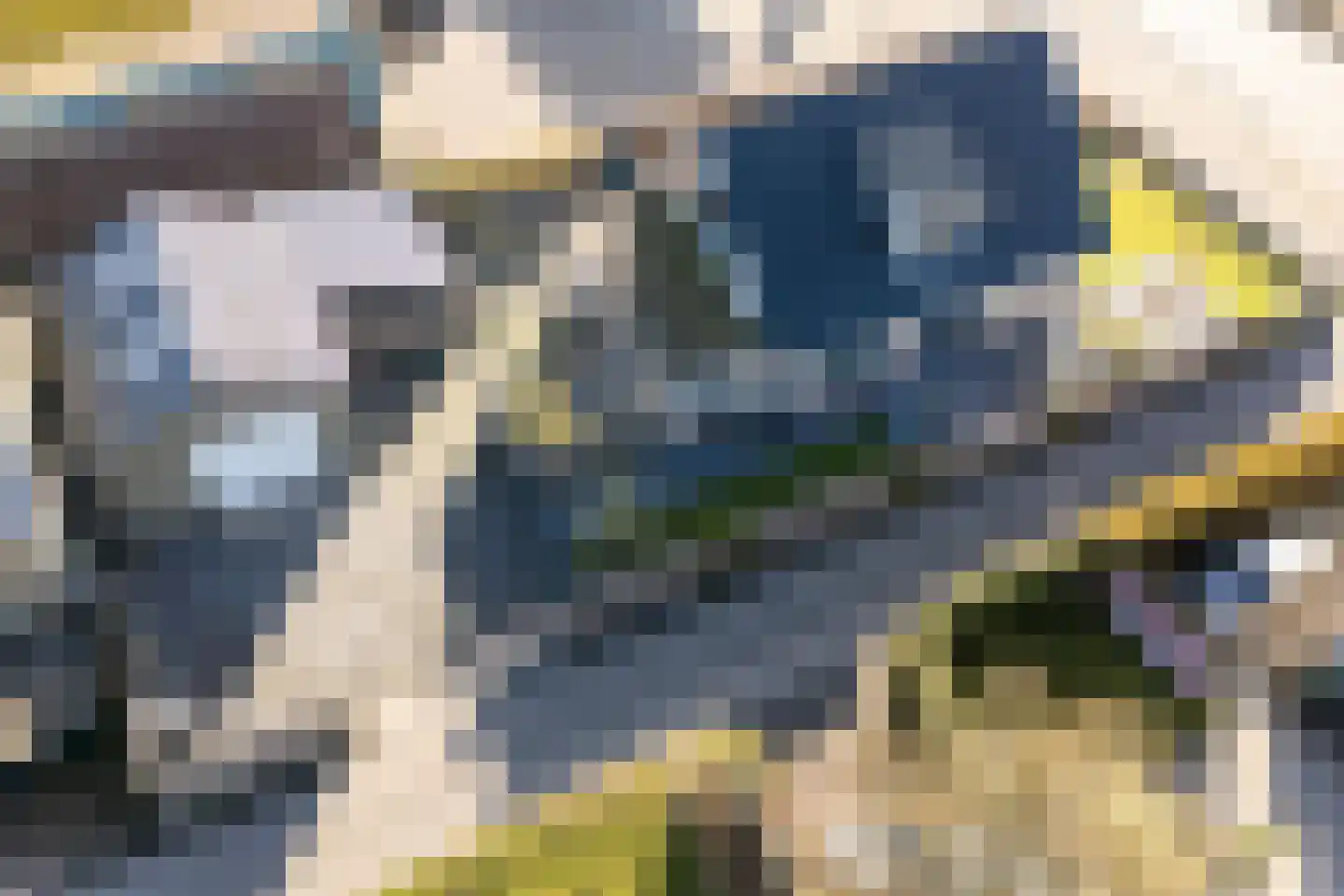 Tolwei 19 De Westereen thumbnail 4
