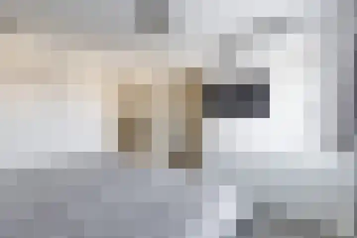 Tolwei 19 De Westereen thumbnail 40