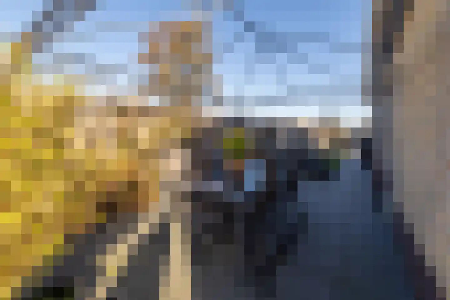 Tolwei 19 De Westereen thumbnail 41
