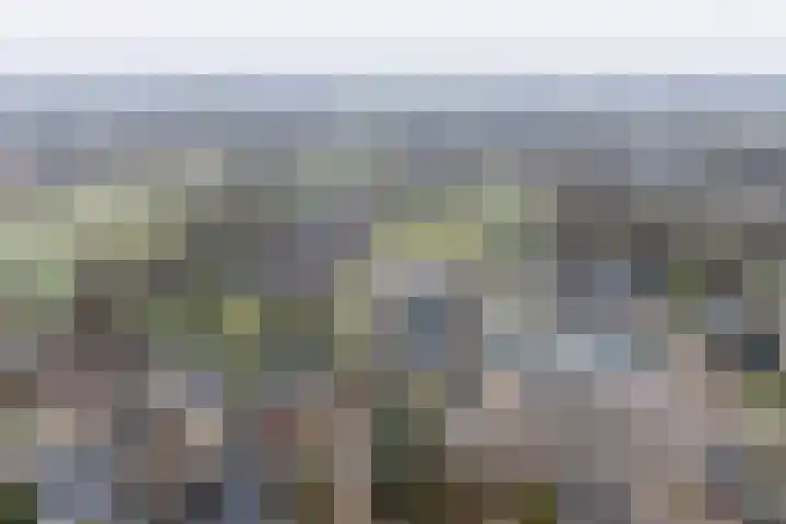 Tolwei 19 De Westereen thumbnail 47