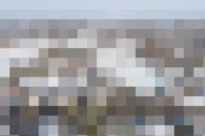 Tolwei 19 De Westereen thumbnail 48