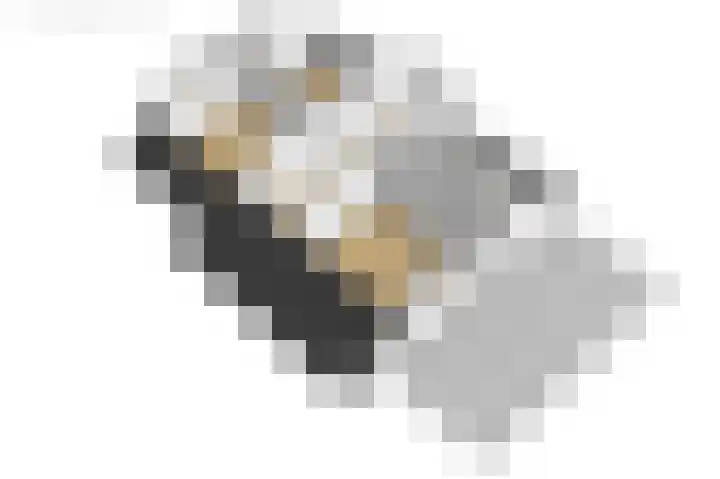 Tolwei 19 De Westereen thumbnail 60