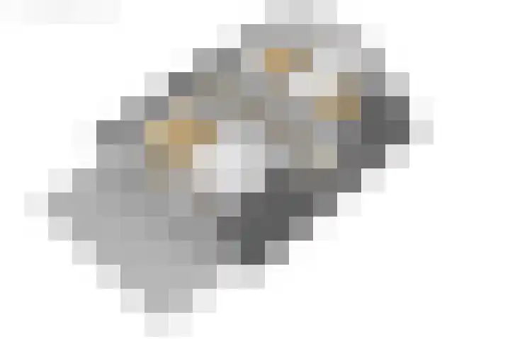 Tolwei 19 De Westereen thumbnail 61