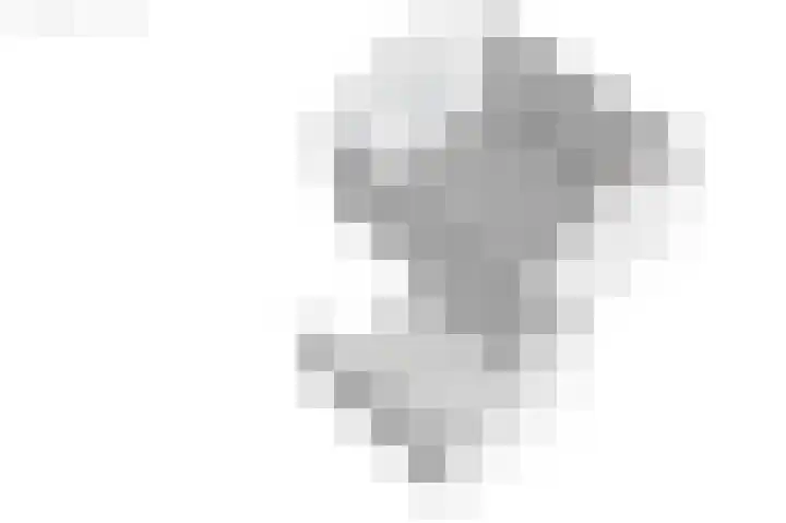 Tolwei 19 De Westereen thumbnail 66