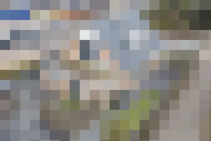 Tolwei 19 De Westereen thumbnail 7