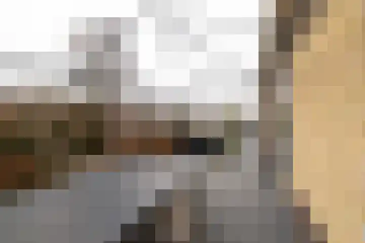 Tolwei 19 De Westereen thumbnail 8