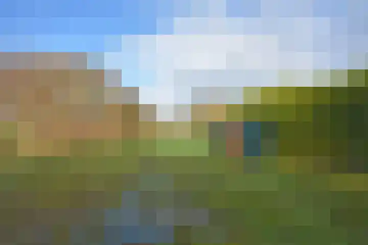 Tolwei 29 De Westereen thumbnail 11