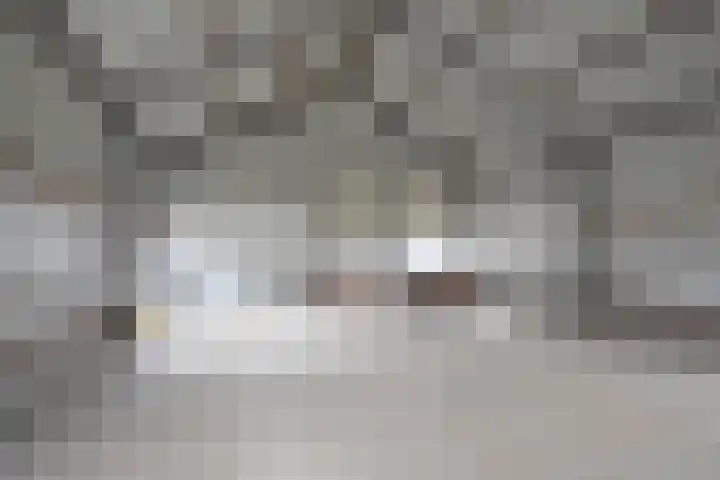 Tolwei 29 De Westereen thumbnail 15