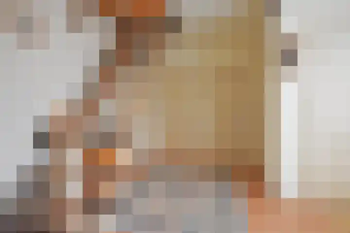 Tolwei 29 De Westereen thumbnail 17