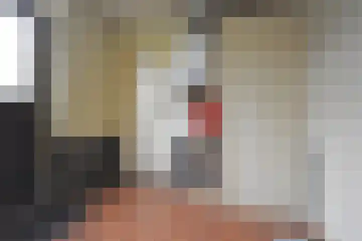 Tolwei 29 De Westereen thumbnail 31