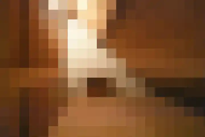 Tolwei 29 De Westereen thumbnail 37