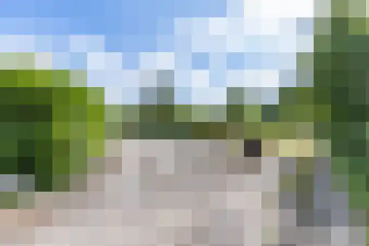 Tolwei 36 De Westereen thumbnail 10