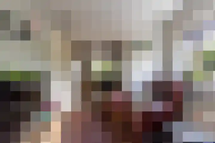 Tolwei 36 De Westereen thumbnail 27
