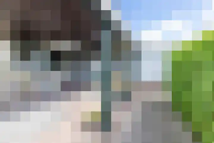 Tolwei 36 De Westereen thumbnail 40