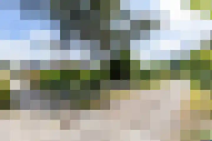 Tolwei 36 De Westereen thumbnail 9