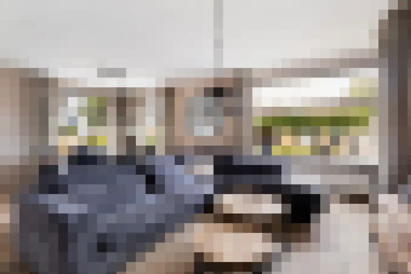 Tolwei 46 De Westereen thumbnail 11