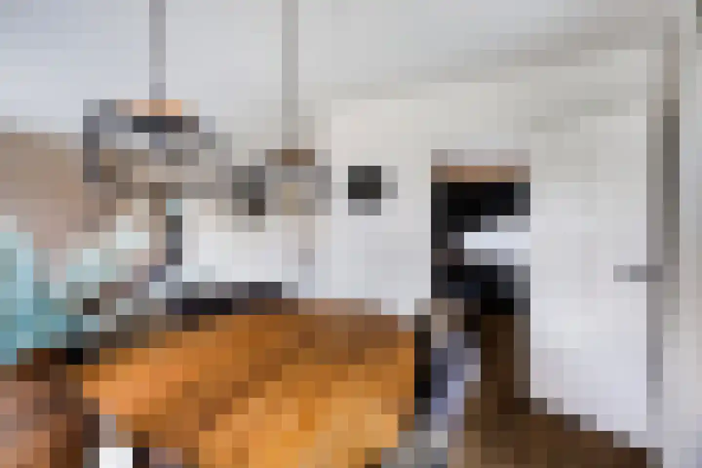 Tolwei 46 De Westereen thumbnail 13