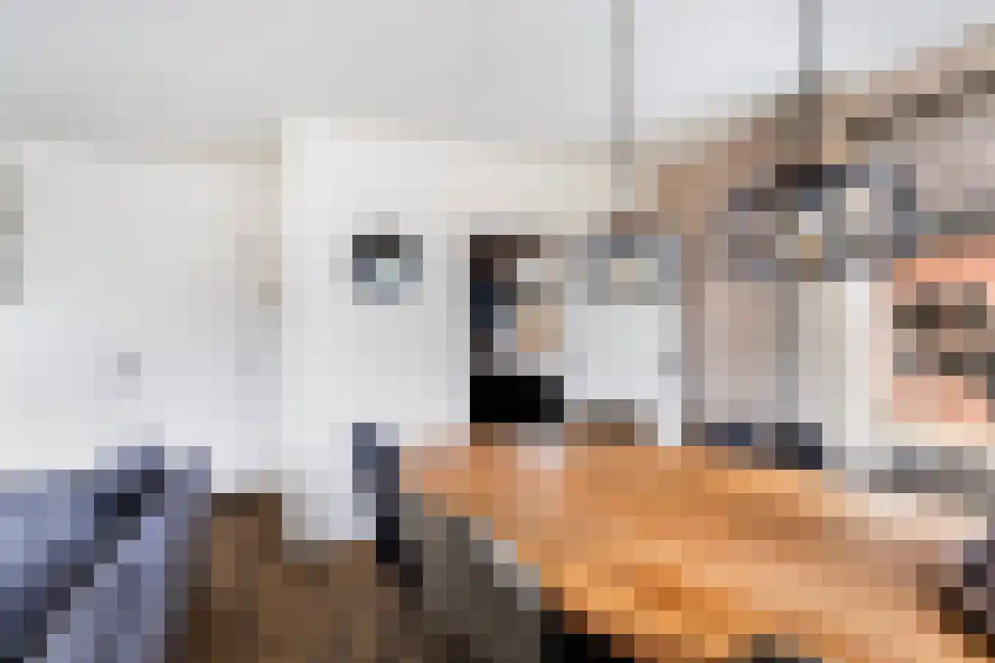 Tolwei 46 De Westereen thumbnail 14