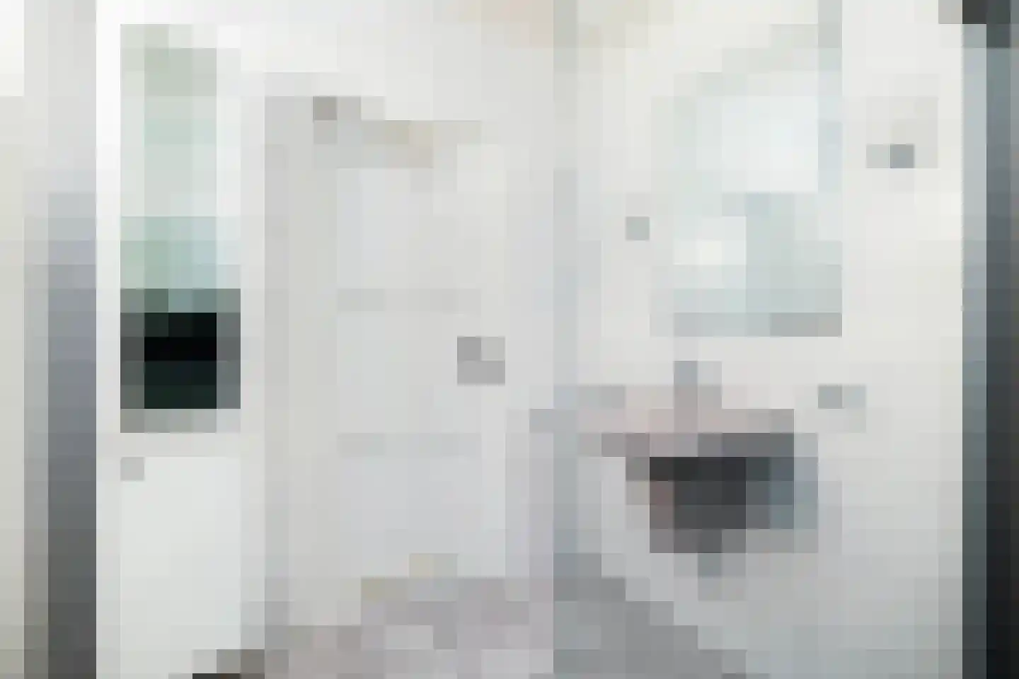 Tolwei 46 De Westereen thumbnail 30