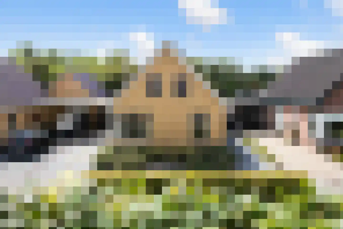 Tolwei 46 De Westereen thumbnail 40
