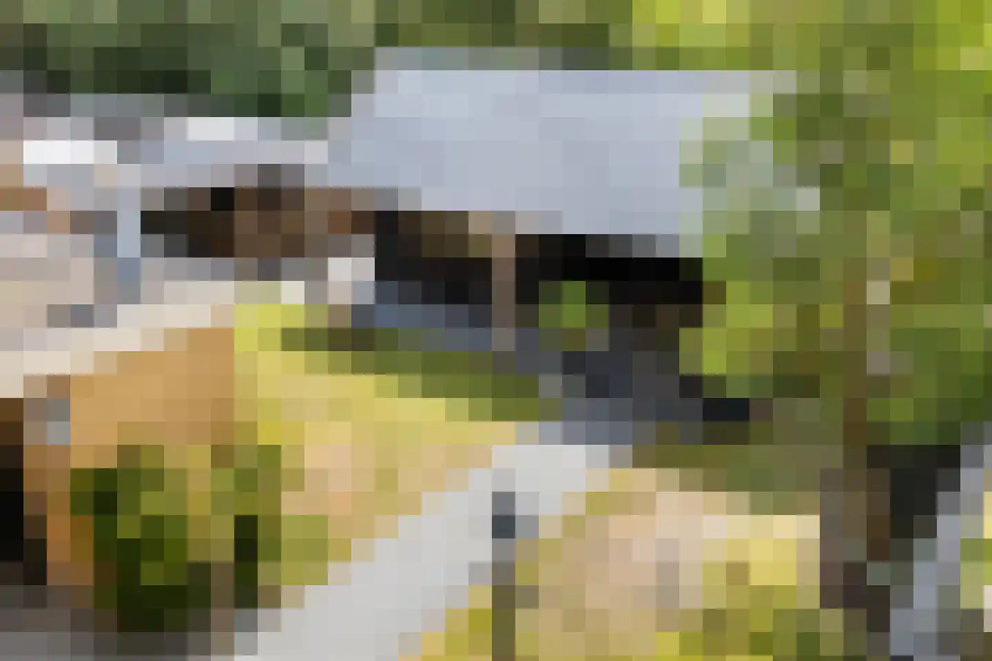 Tolwei 46 De Westereen thumbnail 41